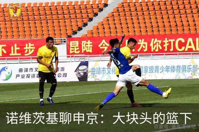 诺维茨基聊申京：大块头的篮下“魔法师